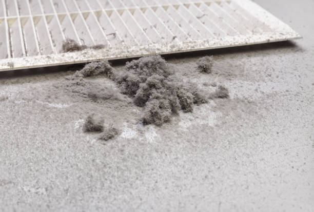 Best Local Air Duct Cleaning Services  in Hartselle, AL