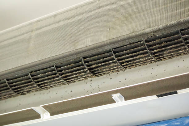 Best Air Duct Cleaning Near Me  in Hartselle, AL